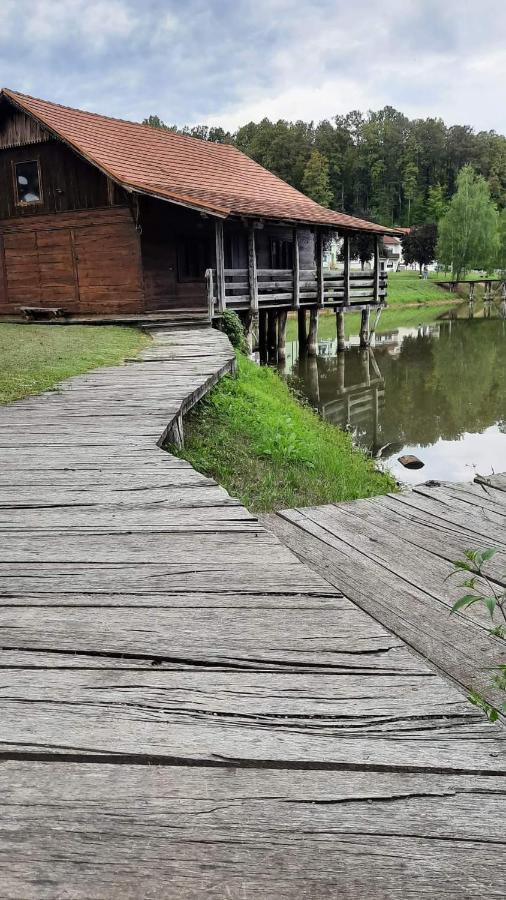 Apartman Abramovic Topusko Luaran gambar
